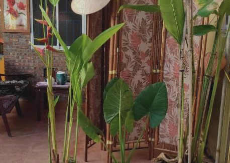 Hoi An House | Hạ Nhiên - Summer chilling Private House