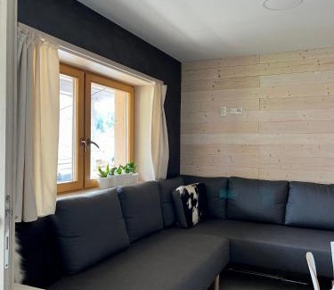 Dedinky Apartment | Hacienda Dedinky C