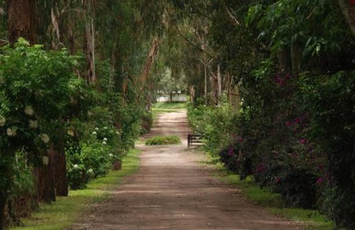 Nobsa Hotel | Hacienda Suescún - 300 Años de Historia