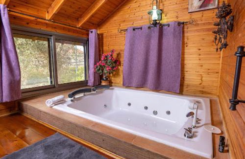 Mateh Asher Cabin | Hadas - Love