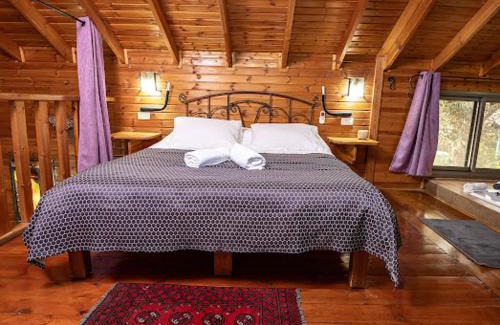 Mateh Asher Cabin | Hadas - Love
