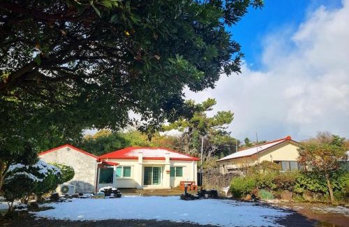 Namwon House | Haenarr Hanok Stay in Mandarin Orchard, 100m from Sea