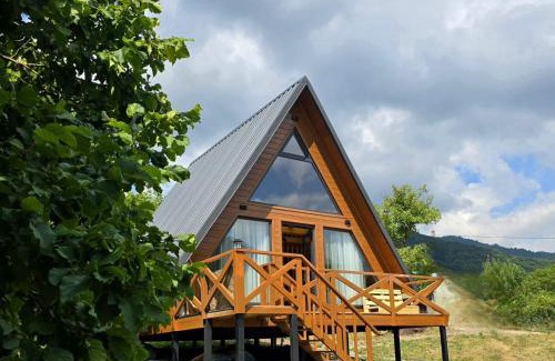 Vedzebi House | Haeri tweens
