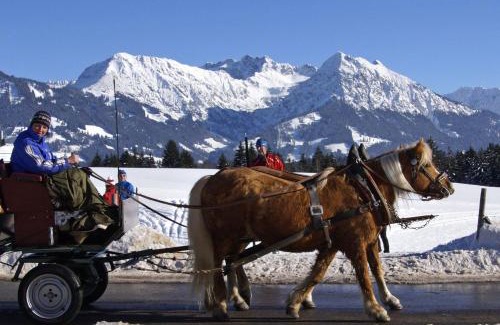 Obermaiselstein Apartment | Haflinger Hof