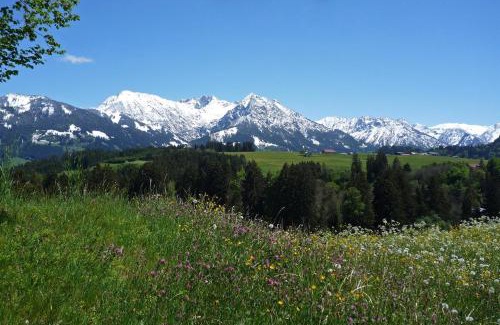 Obermaiselstein Apartment | Haflinger Hof