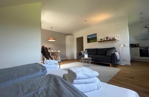 Hahnenklee Apartment | Hahnenklee Charme - moderne neue Ferienwohnung mit 2 Balkons