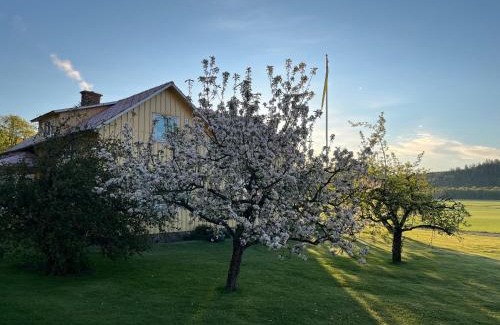 Falkenberg Municipality Villa | Hakestad 138
