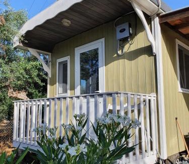 Pylos-Nestoras Cabin | Hakuna Matata Holidays Agalia with airco & pool in Greek Olive Grove