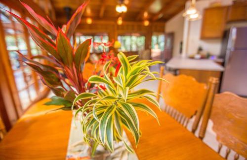 Volcano House | Hale Mauna Loa Upper Level with shared Hot Tub