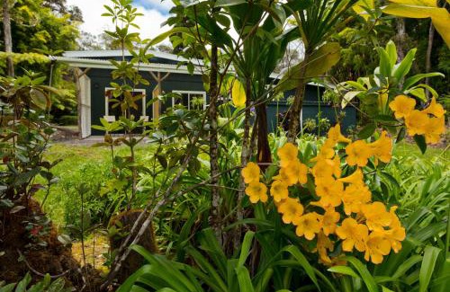 Volcano Bed & Breakfast | Hale 'Ohu Bed & Breakfast