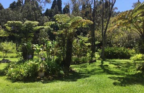 Volcano Bed & Breakfast | Hale 'Ohu Bed & Breakfast