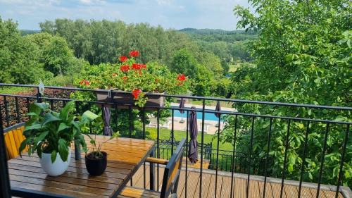 Halle Bed & Breakfast | Hallerbos B&B in Bluebell Forest