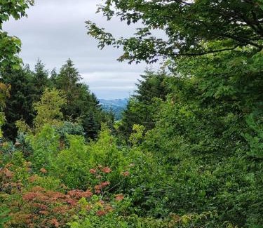 Moretonhampstead House | Halls Cleave, Woodland Retreat, Dartmoor, Devon