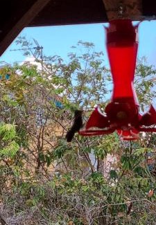 Sainte-Anne Apartment | Hameau de beauregard le colibri