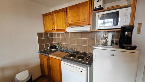 Albiez-le-Vieux Apartment | Hameau Des Aiguilles vue sur pistes
