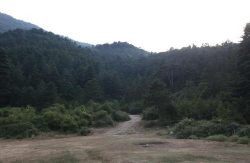 Llogara National Park Other | Hamiti Camping Center