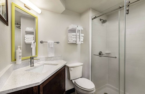 Waldron Hotel | Hampton Inn Kansas City-Airport