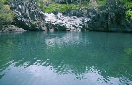 Puuiki House | Hana 's Relaxing Whale Watch Suite for Peace, and enjoying Nature