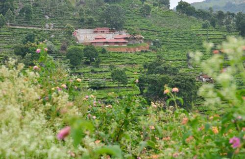 Kotagiri Resort | Hanging Huts Resorts