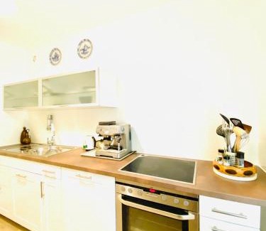Region Hannover District Apartment | HannoverMesseApartment with terrace