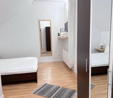 Satu Mare Hotel | Hanul lui Ionut 2