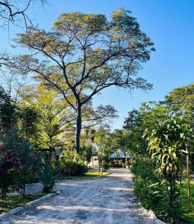 Zambezi Region Bed & Breakfast | Happy Forest B&B