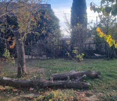 Vedzebi Apartment | Happy
