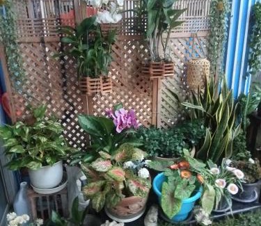 Ban Phe House | Happy Home Guest House