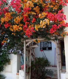 Ennasr Apartment | Happy House Ennasr