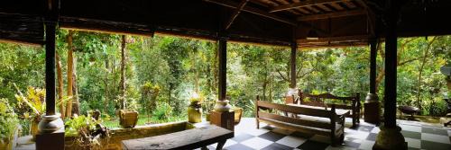 Bukit Lawang House | Happy Ria Homestay & Guesthouse
