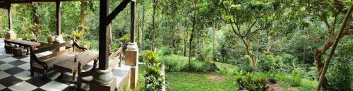 Bukit Lawang House | Happy Ria Homestay & Guesthouse