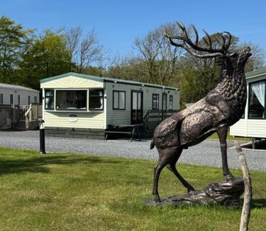 Newton Stewart Other | Happydays Caravan 1 Newton Stewart