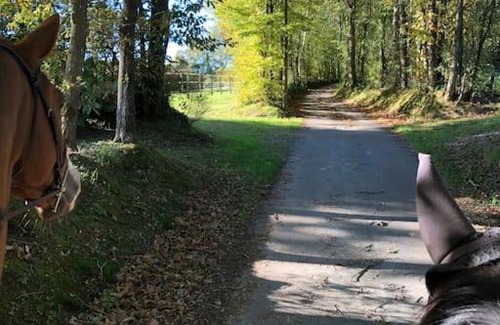 Bellou-le-Trichard Apartment | Haras du sablon au cœur du parc régional du perche