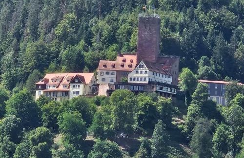Bad Liebenzell Apartment | Hardy's Apartment Nordschwarzwald