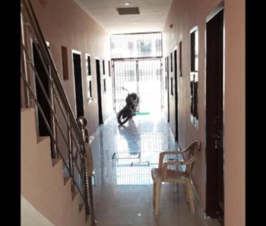 Kharar Hotel | Harjas homestay