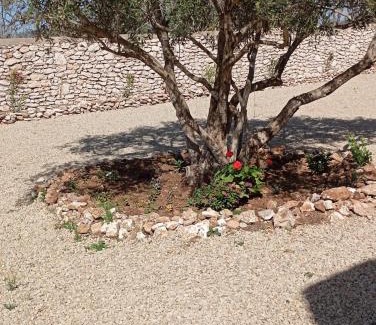 Essaouira House | Harmonie des alizés
