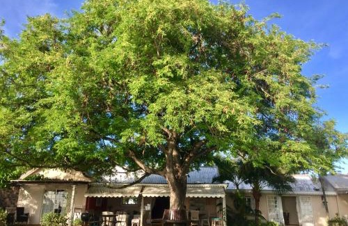 La Mivoie House | Harmonie