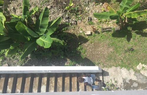 Port Antonio House | Harmony Heights