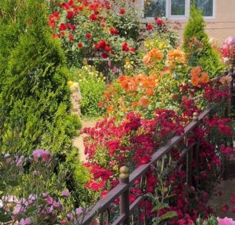 Tamchy House | Harmony