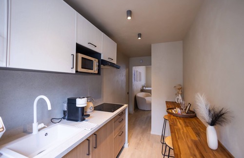 Downtown Angers Apartment | Harmony Room Romantic Suite with Jacuzzi