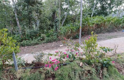 Udumbanchola Villa | Harsham Homestay