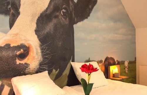 Joure Hotel | HarTeluk Joure