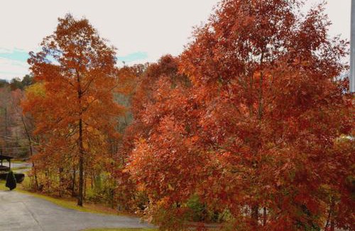 Gatlinburg - Pigeon Forge House | Hartman Hideaway Economy Cabin