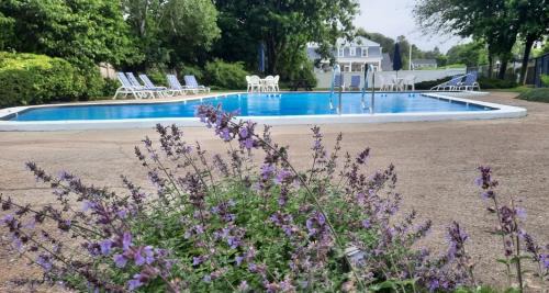Harwich Port Hotel | Harwichport Resort Club
