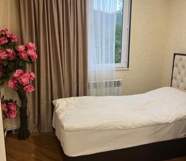Jermuk Apartment | HASI hotel Jermuk