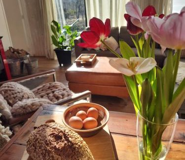 Malalcahuello House | Hau Lodge Malalcahuello Corralco wifi starlink