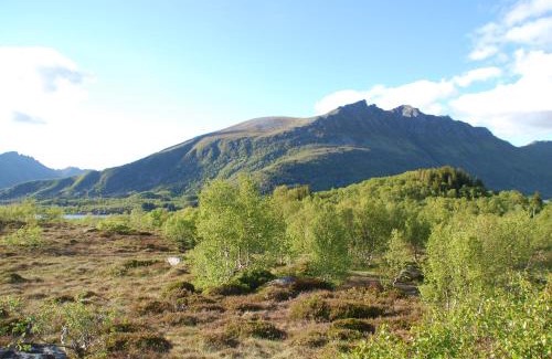 Barstrand Cabin | Haugteig