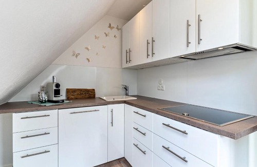 Ettenheim Apartment | Haus 23