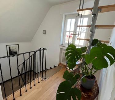 Erkrath Apartment | Haus am Mühlenstein in der Nähe vom Unterbacher See