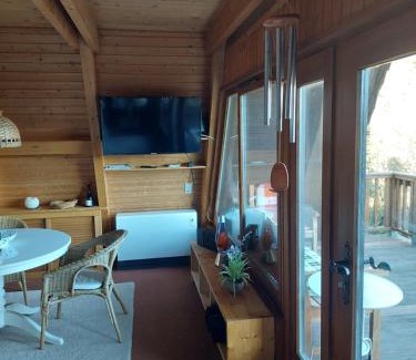 Willingen House | Haus am See Willingen